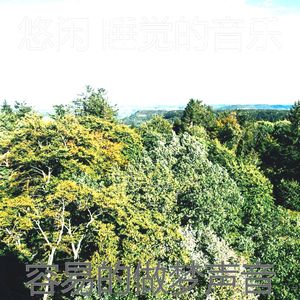 有趣做梦情怀