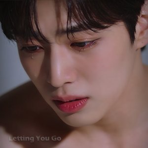 Letting You Go