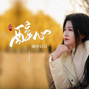 醉心 (DJ老歌版)