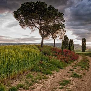 美丽的神话（钢琴版）