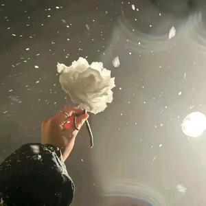 所有心事都放晴（DJ环绕）