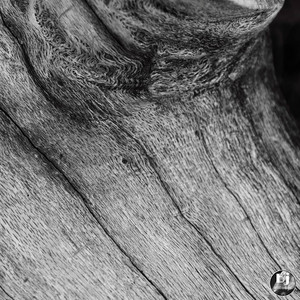 From Discord to Harmony (Original Mix)