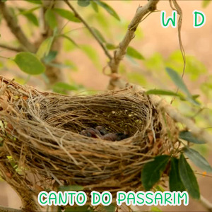 Canto do Passarim