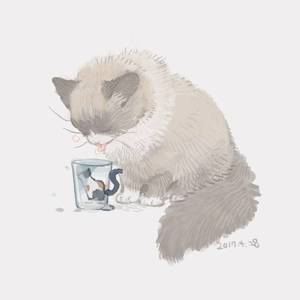 猫都瞧不起我（Cover 花粥）