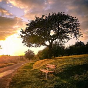 Só Quero um love love