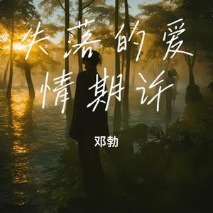 失落的爱情期许