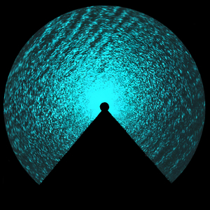 Level 4