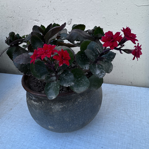 在你离开那天.wav