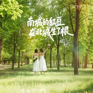 南城的红豆在北城生了根