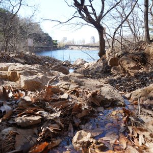 在梦里面（demo）（prod for 谢云飞Zero）