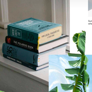 去明天（2024毕业歌）