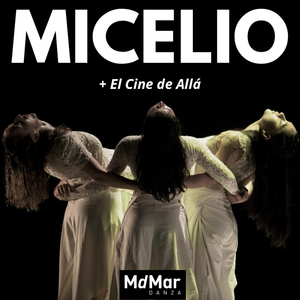 Micelio: VII Liten y Brujas