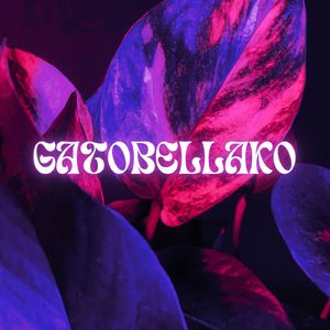 GATOBELLAKO