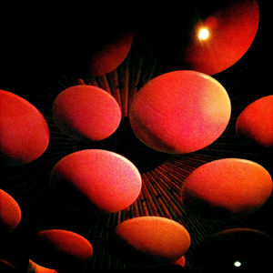 Should We Make It Through The Night