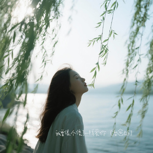 我曾像个傻了一样爱你（治愈男声版）