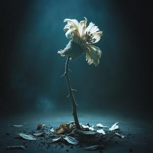 Scars Painted in Blue