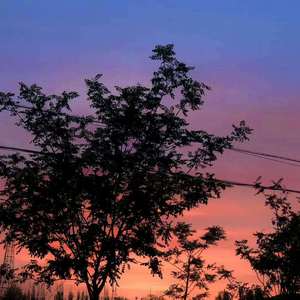 天空之城（翻自 蒋敦豪）