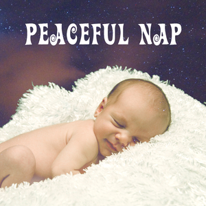 Die Zufriedenheit im niedrigen Stande, K. 151