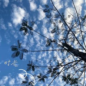 17岁（抒情版）