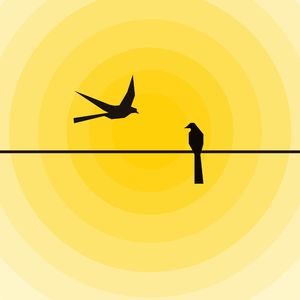 命名（抒情版）