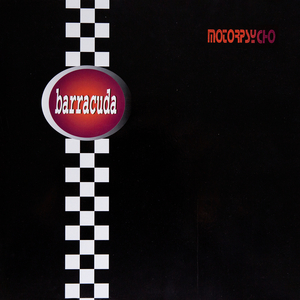 Dr. Hoffmann´s Bicycle