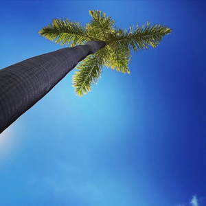 Hasukio-Drunk Grooveve（Wolf remix）