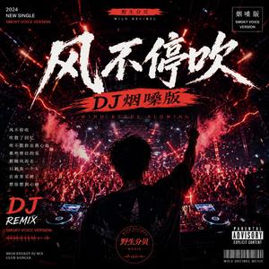 风不停吹(DJ烟嗓版)