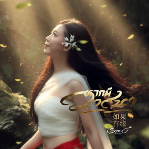หากมีวาสนา (Chinese Version)