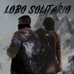 Lobo Solitário