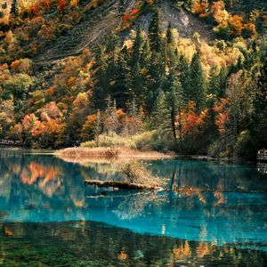 [FREE]''春''+GAI+KKECHO TypeBeat