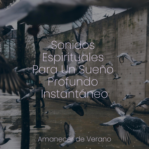 Ascenso Majestuoso en Silencio