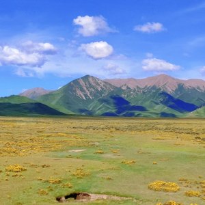 自由之魂（Prod. EVOMUSIC）