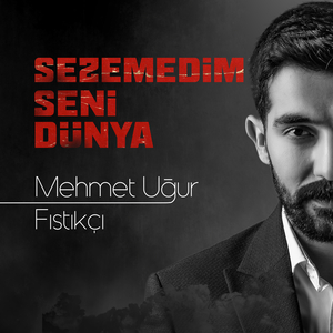 Sezemedim Seni Dünya