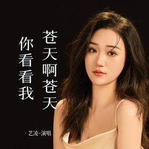 苍天啊苍天你看看我