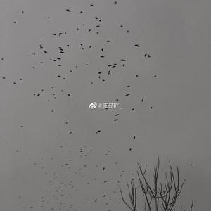 简单（翻自 牟天任）