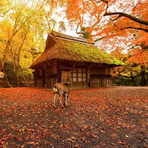 我们的蜜月旅行