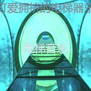 抚慰的酒店电梯回忆