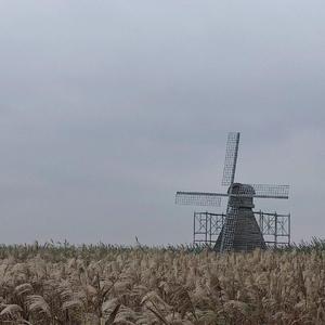 一朝芳草碧连天
