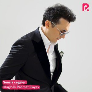 Sensiz cegeler