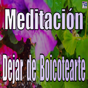 Meditación. Dejar de Boicotearte.