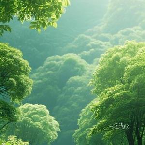 一念清欢
