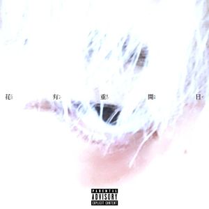 Power money network权钱人