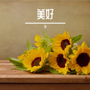 Carefree Little Immortal
（无事小神仙）