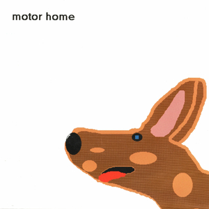 Country Chris (Motorhome)