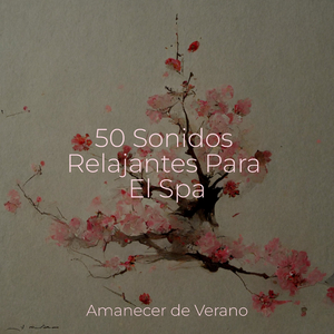 Arreglando Melodías