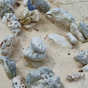 오래된 돌에 손을 얹고