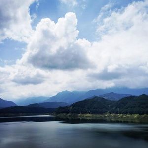 漂洋过海来看你