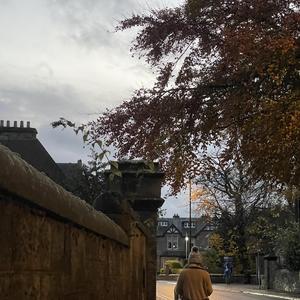 天ノ弱