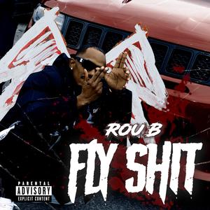Fly shit