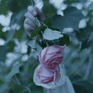 追逐海洋(Live for Sea)